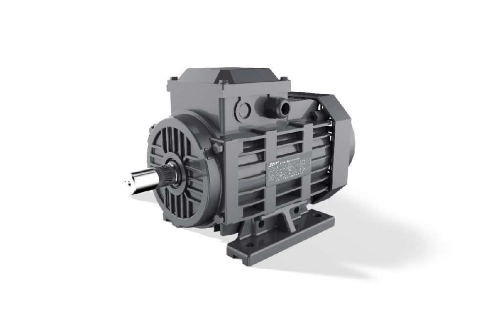 FTYP 系列自启动永磁同步电机